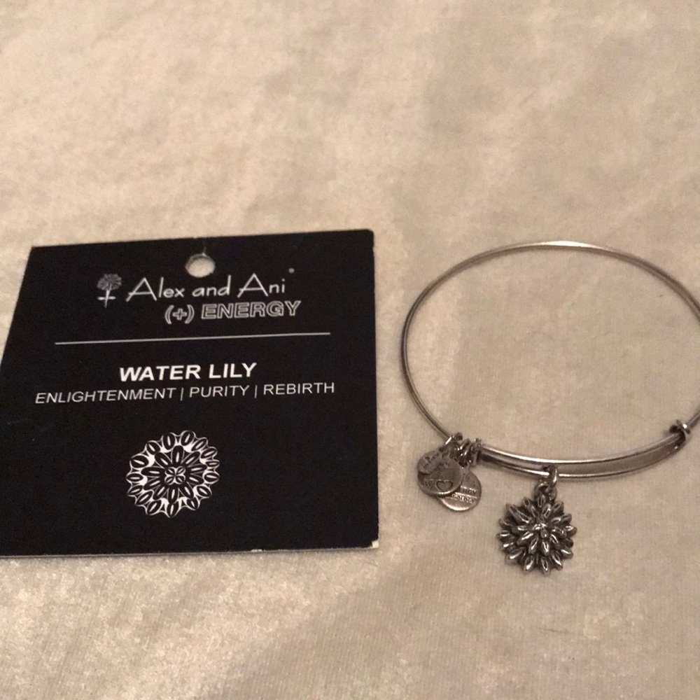 Alex and Ani Bangle